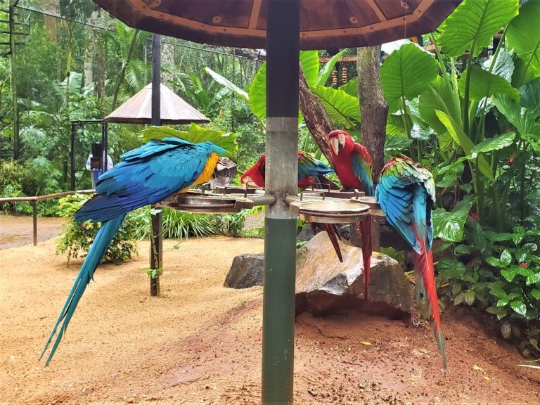 Foz do Iguaçu
