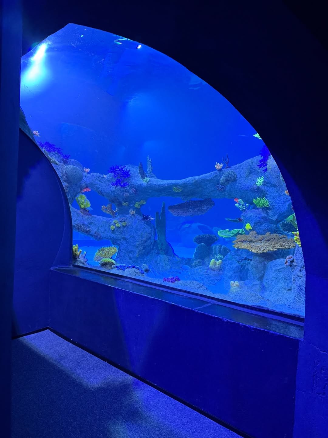 Foz do Iguaçu e Cataratas