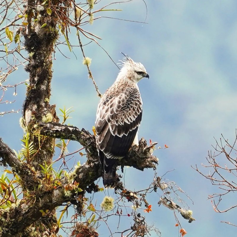 Os Segredos dos Andes - Março 2026